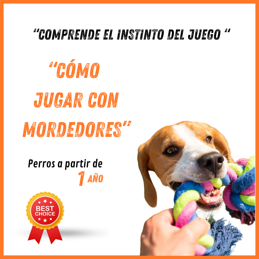 Cómo Jugar con los mordedores de tu perro