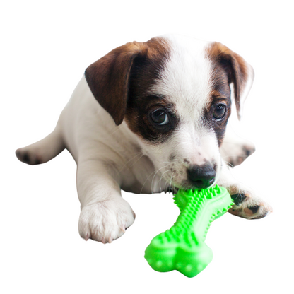 6 CAJAS - CACHORROS DE TAMAÑO M